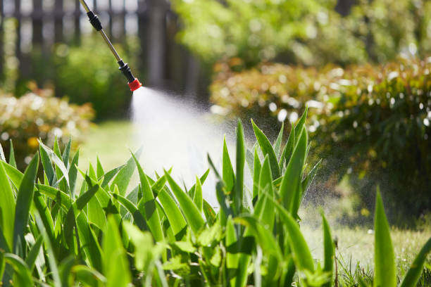24/7 Emergency Termite Control experts in Perryopolis, PA