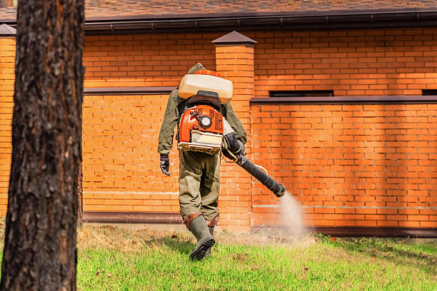 Top rated local Termite Control specialists in Perryopolis, PA